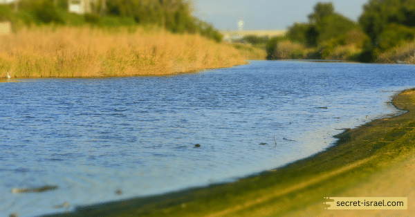 Rubin Stream National Park – The Sorek Stream Estuary