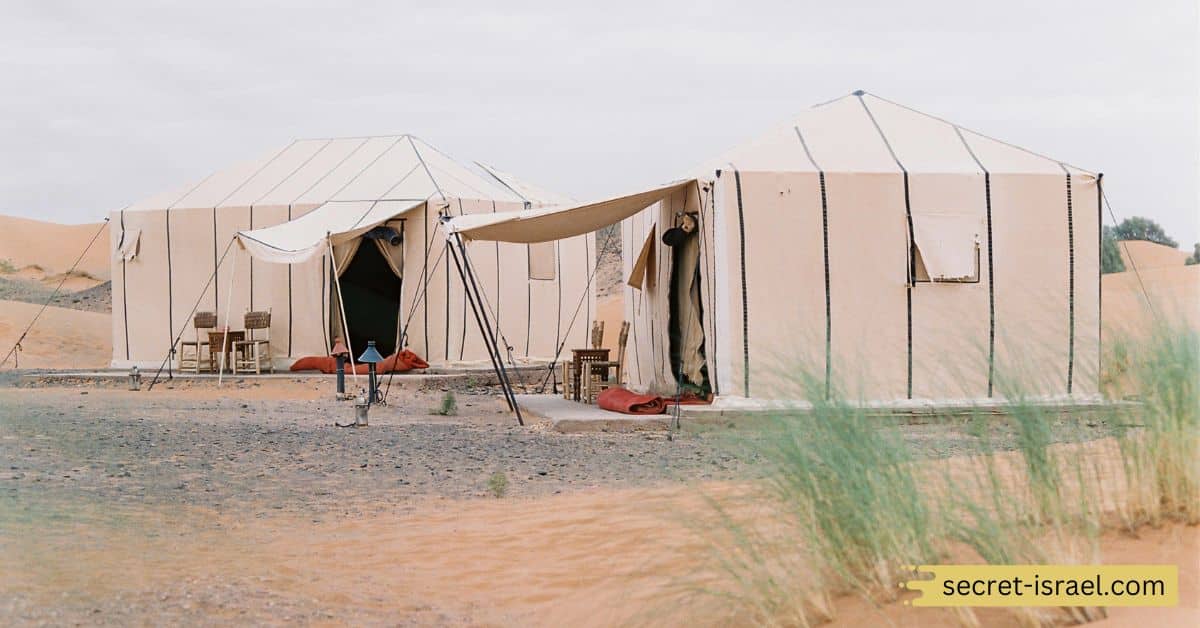 Rum Oasis Luxury Camp