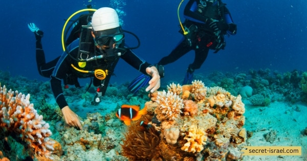 Scuba Diving