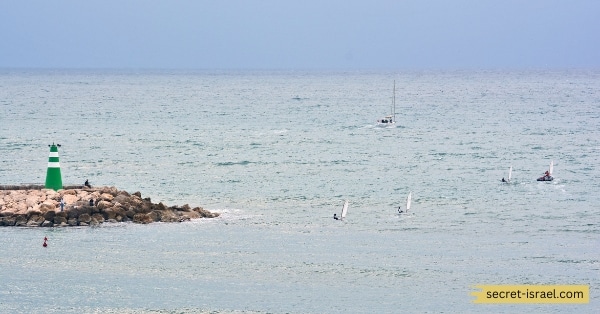 Surfing in Tel Aviv