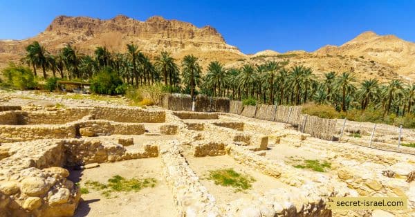 Take a trip to Ein Gedi Nature Reserve