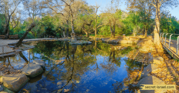 Tel Dan Nature Reserve