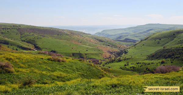 The Aviad Trail