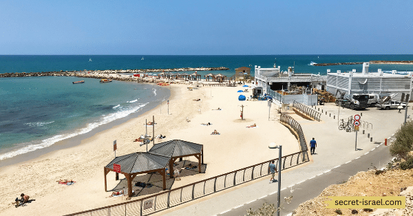 The Beaches