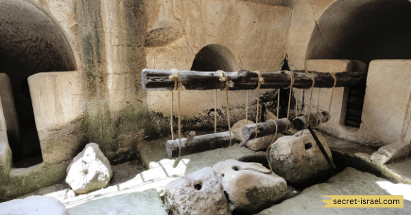 The Beit Guvrin National Park_ A Nature Lover's Paradise