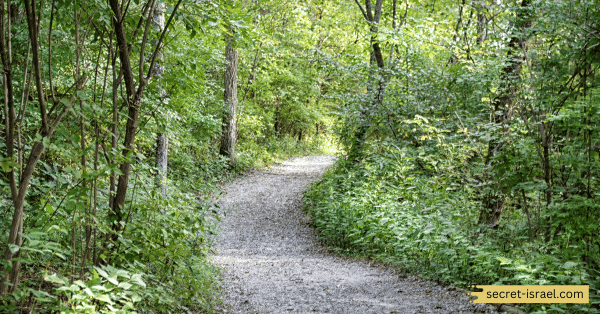 The Beit Hanan Trail