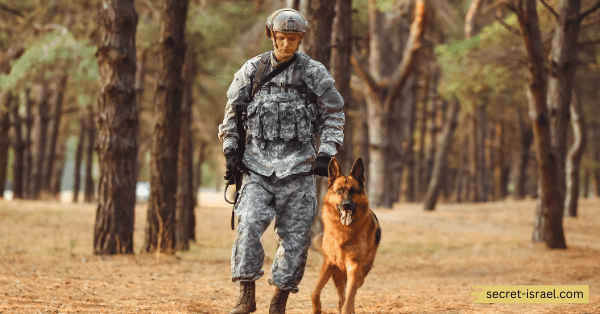 The Benefits of Volunteering to Serve