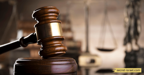 The Constitutional Process