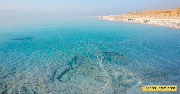 The Dead Sea