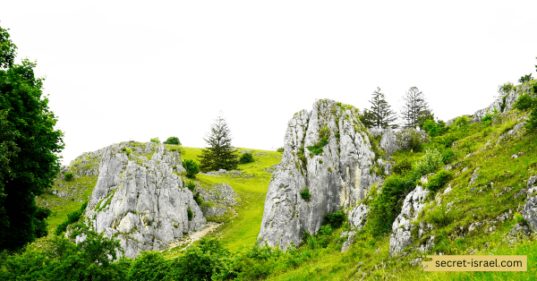 The Horshat Tal Nature Reserve