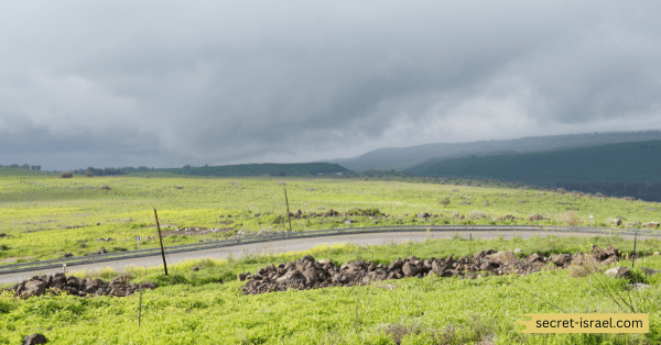 The Hula Valley