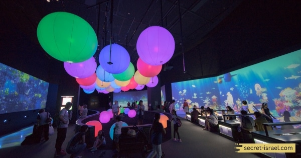 The Israel Childrens Museum