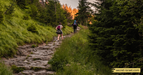 The Namer Trail