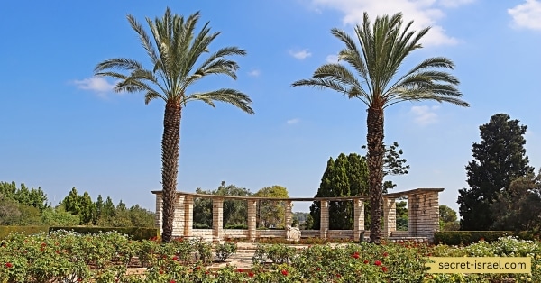 The Rothschild Gardens