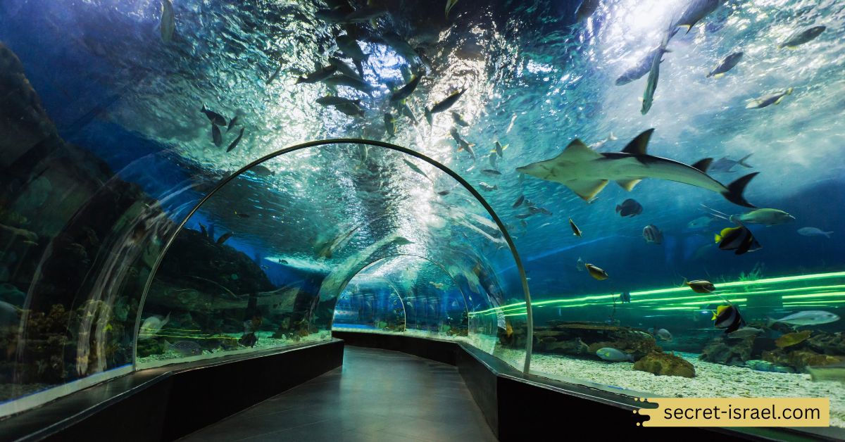 The Underwater Observatory Marine Park