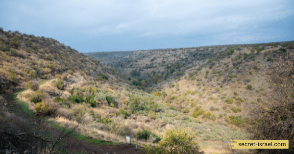 The Yehudiya Nature Reserve
