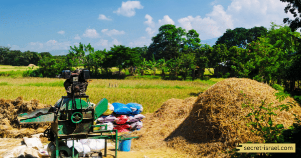 Threshing
