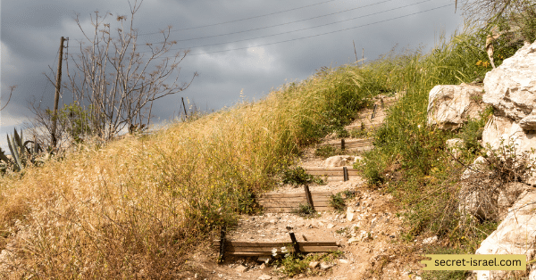 Trek on the Jerusalem Trail