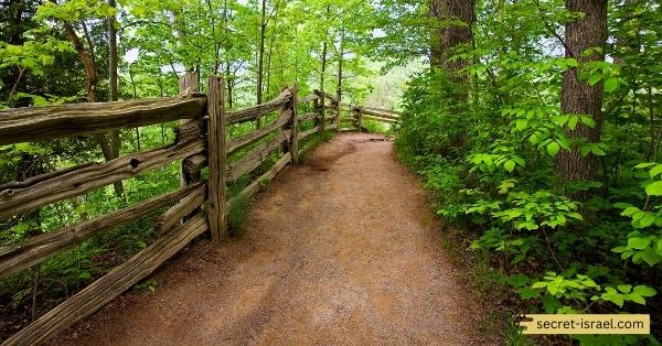 Trekking up Mount Amason Hike Trail