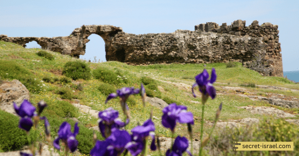 Tzora Castle