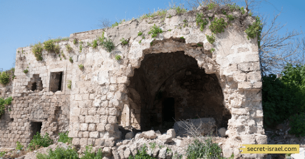 Umayyad Foundations of the City
