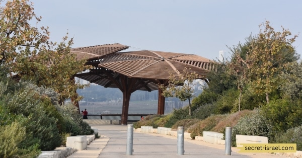 Unique Attractions_ Ziplining and the Observatory Tower