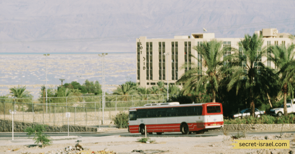 Using the Egged and Dan Bus Networks in Major Cities