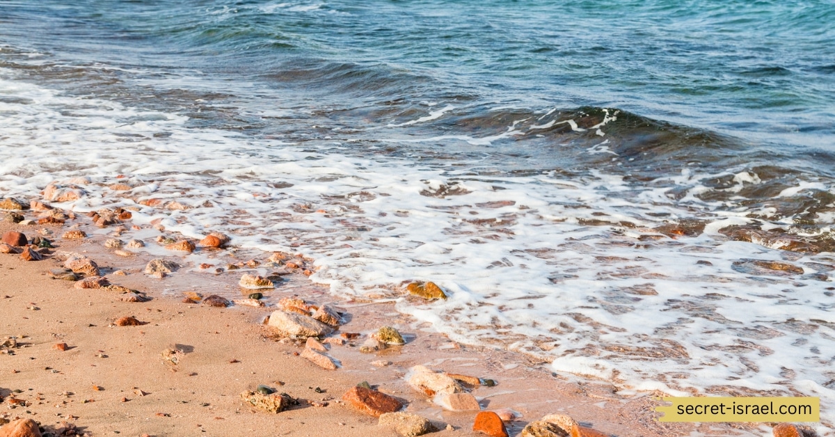 Visit Aqaba and Go Snorkeling or Scuba Diving in the Red Sea