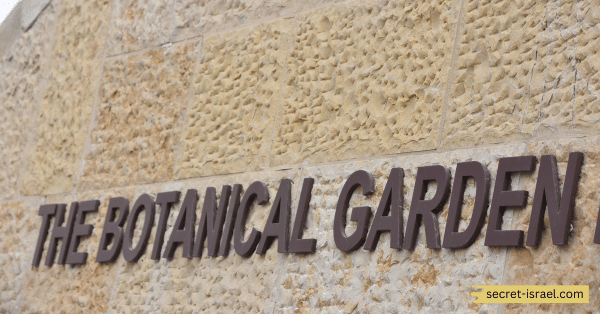 Visit the Meir Park and Botanical Garden