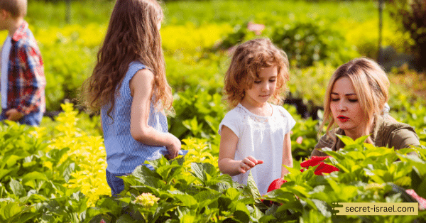 Visit the Ness Ziona Botanical Gardens