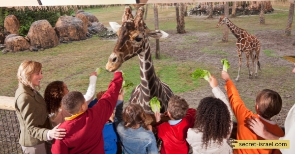 Visiting the Holon Zoo and Botanical Gardens