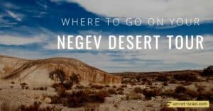 Where to Go on Your Negev Desert Tour