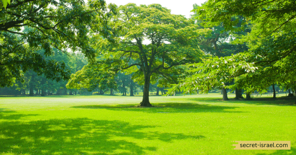 Yud-Alef Park