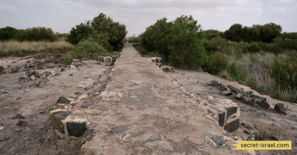 Zarqa Wetland Reserve