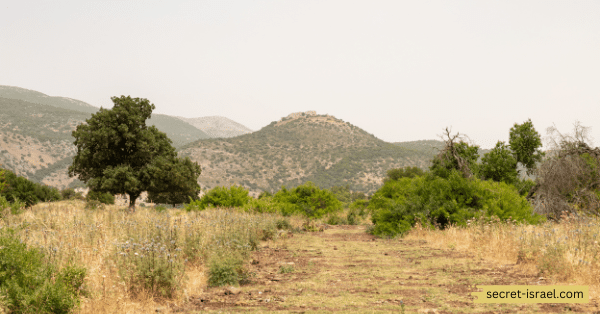 Zavitan Stream Nature Reserve