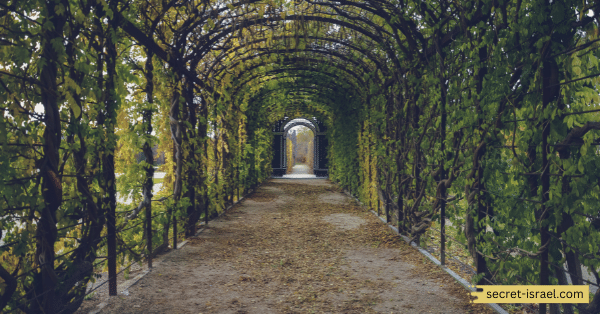 Zevulun Garden