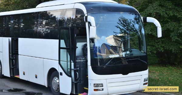 Zimmer Bus