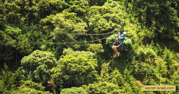 Zip-lining