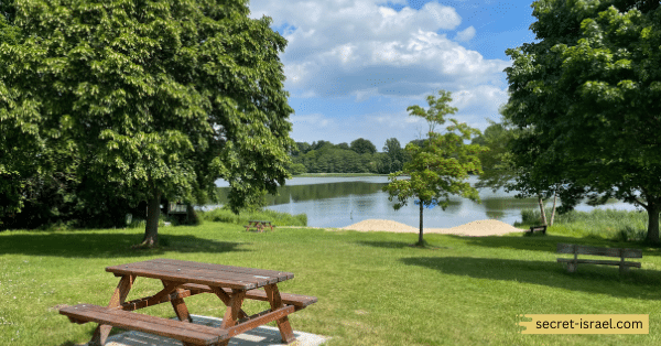Enjoy picnics in Sacher Park