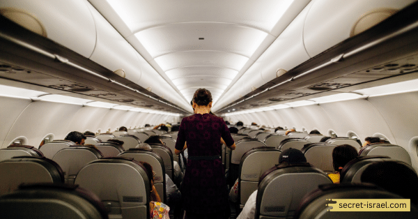 Factors to Consider When Choosing an Airline