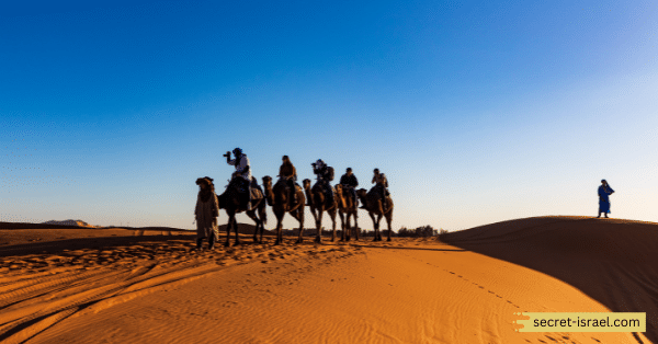 Go Camel Riding in Timna Valley Park