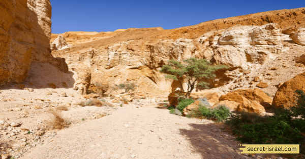 Go Hiking in Negev Desert