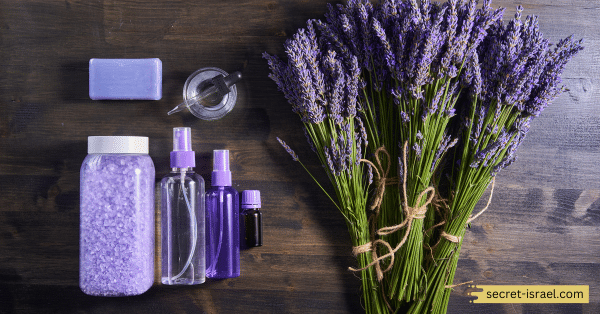 Shop for Lavender-Based Products