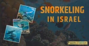 8 Best Spots To Do Snorkeling In Israel