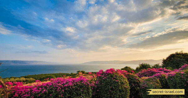 Galilee – The Countryside of Northern Israel