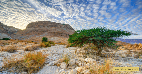 History of Masada