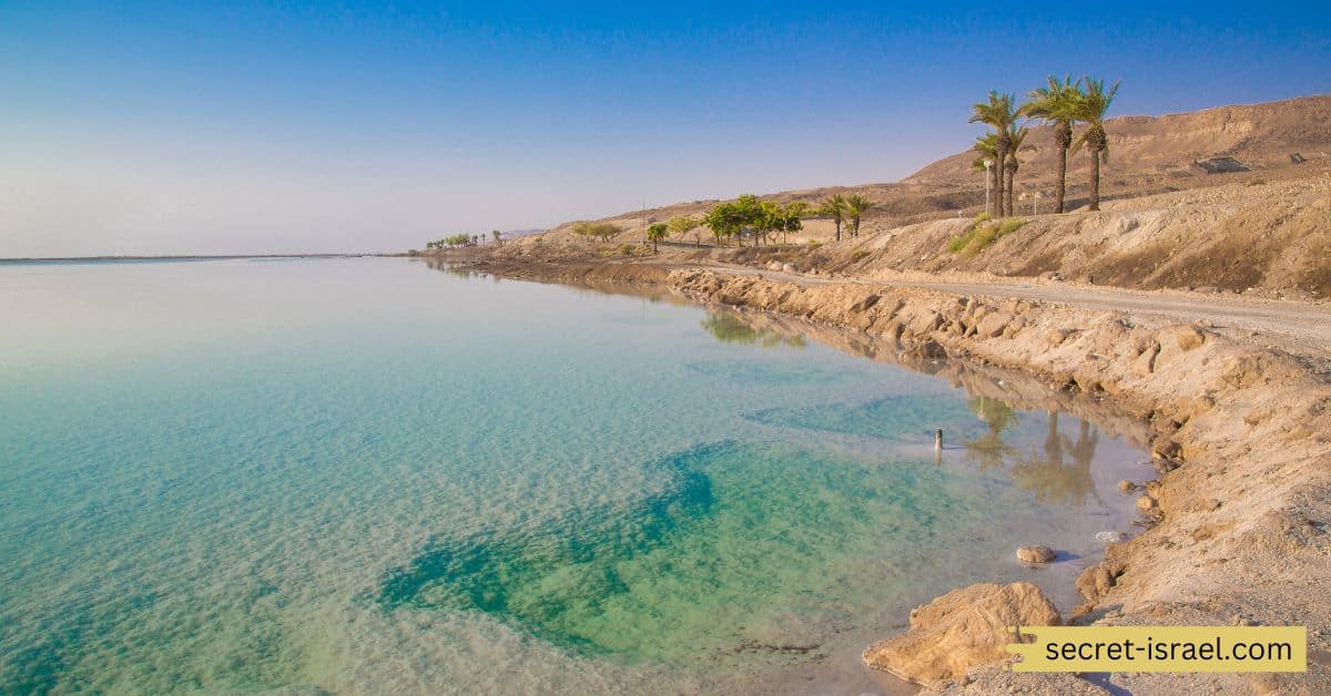 The Dead Sea