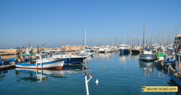 Visit the Tel Aviv Port