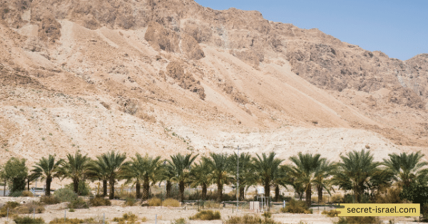 Adventure and Outdoor Activities in the Judean Desert