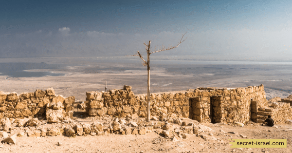 Masada_ Rediscovered by Edward Robinson